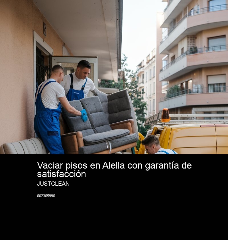 Casos comunes donde aplicamos vaciados gratuitos