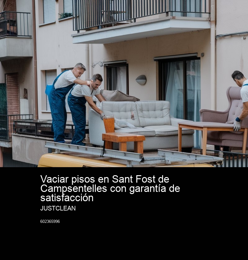 Detalles del proceso de vaciado gratuito en JustClean